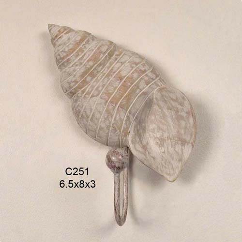 Turban Shell